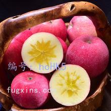 ǰ