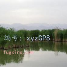 ͨ