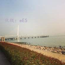 Ⱦ