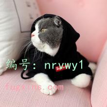 ʽ