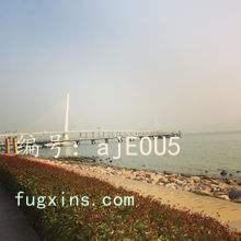 ز